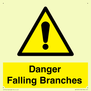 WV10531: Danger Falling Branches