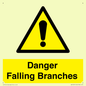 WV10531: Danger Falling Branches