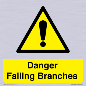 WV10531: Danger Falling Branches