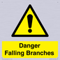 WV10531: Danger Falling Branches
