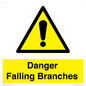 WV10531: Danger Falling Branches