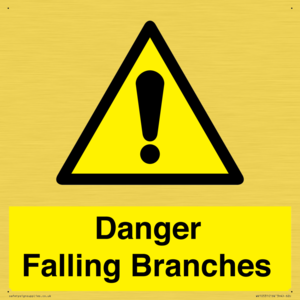 WV10531: Danger Falling Branches