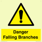 WV10531: Danger Falling Branches
