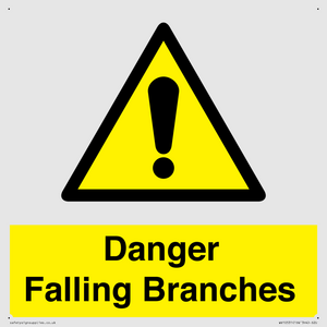 WV10531: Danger Falling Branches