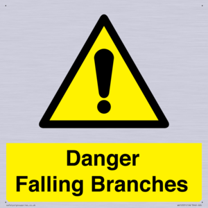 WV10531: Danger Falling Branches