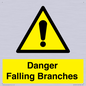 WV10531: Danger Falling Branches