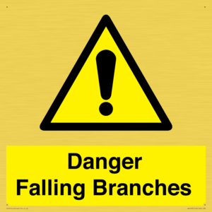 WV10531: Danger Falling Branches