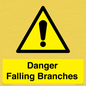 WV10531: Danger Falling Branches