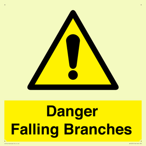 WV10531: Danger Falling Branches
