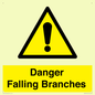 WV10531: Danger Falling Branches