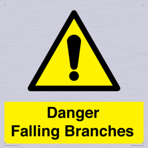 WV10531: Danger Falling Branches