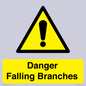 WV10531: Danger Falling Branches