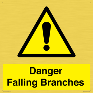 WV10531: Danger Falling Branches