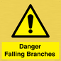 WV10531: Danger Falling Branches