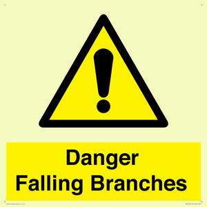 WV10531: Danger Falling Branches