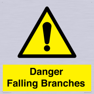 WV10531: Danger Falling Branches