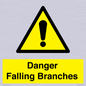 WV10531: Danger Falling Branches