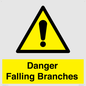 WV10531: Danger Falling Branches