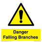 WV10531: Danger Falling Branches