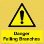 WV10531: Danger Falling Branches