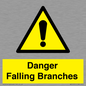 WV10531: Danger Falling Branches