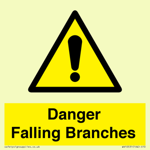 WV10531: Danger Falling Branches