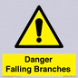 WV10531: Danger Falling Branches