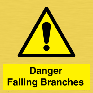WV10531: Danger Falling Branches