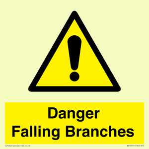 WV10531: Danger Falling Branches