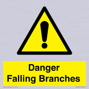WV10531: Danger Falling Branches