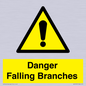 WV10531: Danger Falling Branches