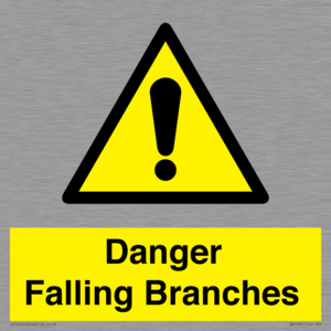 WV10531: Danger Falling Branches