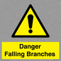 WV10531: Danger Falling Branches