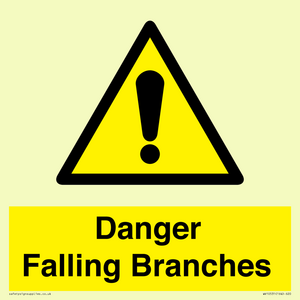 WV10531: Danger Falling Branches