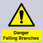 WV10531: Danger Falling Branches