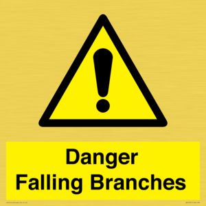 WV10531: Danger Falling Branches