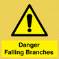 WV10531: Danger Falling Branches