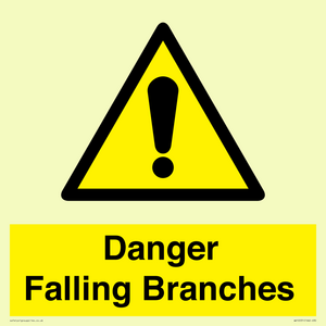 WV10531: Danger Falling Branches