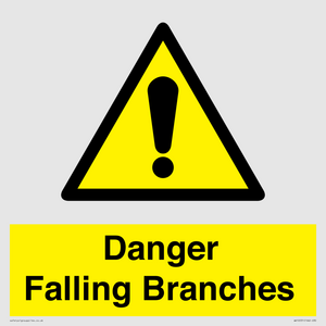 WV10531: Danger Falling Branches