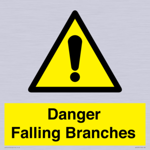 WV10531: Danger Falling Branches