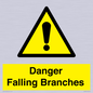WV10531: Danger Falling Branches