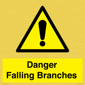 WV10531: Danger Falling Branches