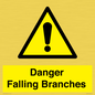 WV10531: Danger Falling Branches
