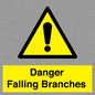WV10531: Danger Falling Branches
