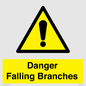 WV10531: Danger Falling Branches