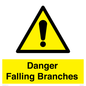 WV10531: Danger Falling Branches
