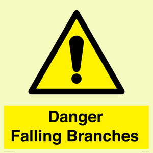WV10531: Danger Falling Branches