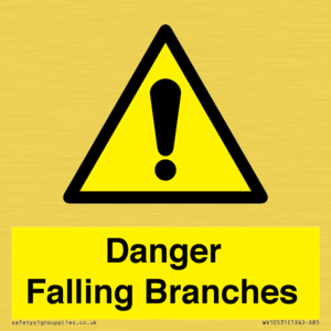 WV10531: Danger Falling Branches
