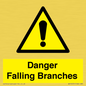 WV10531: Danger Falling Branches