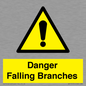 WV10531: Danger Falling Branches